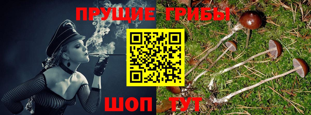 Пенза  Галлюциногенные грибы мицелий  Вход с VPN 