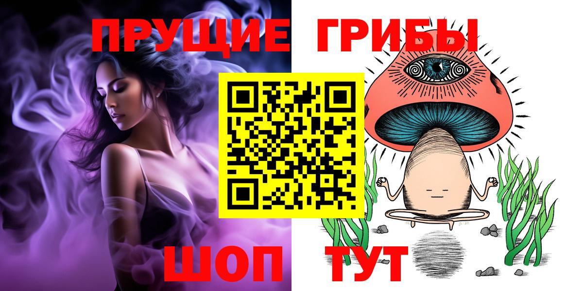 Псилоцибиновые грибы Psilocybine cubensis Пенза